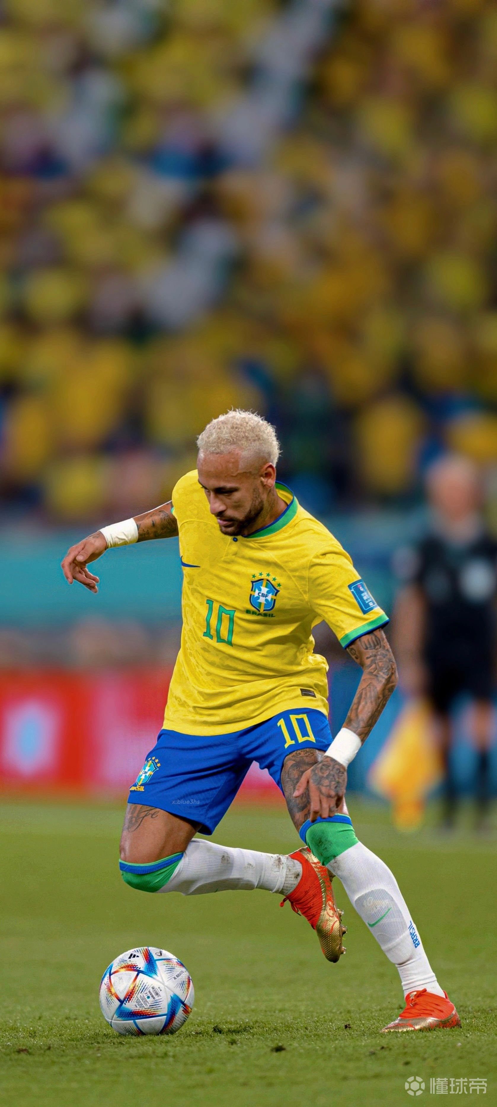 澳门博彩股2025年最后交易日集体收涨